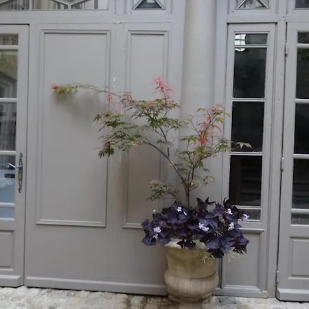 Papillons De Nuit Champagne Troyes